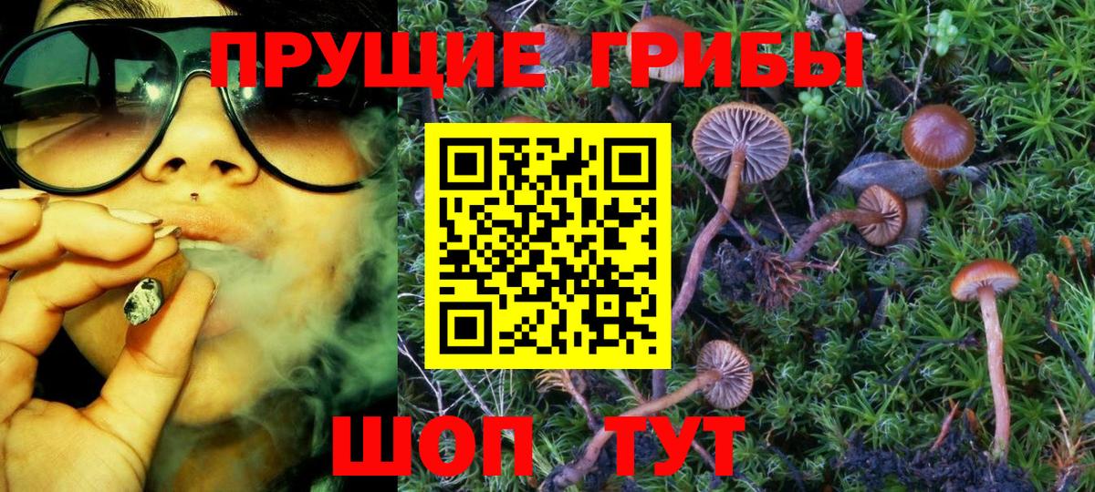Галлюциногенные грибы мицелий Фурманов