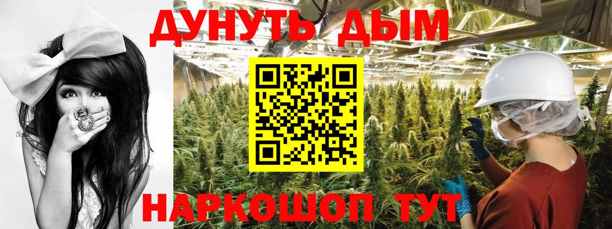 Конопля AK-47  Вход с VPN  Марихуана ГИДРОПОН  Фурманов 